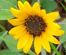 欧博游戏官网-杩欐槸瑗夸集鍒簹鍦板尯犵储